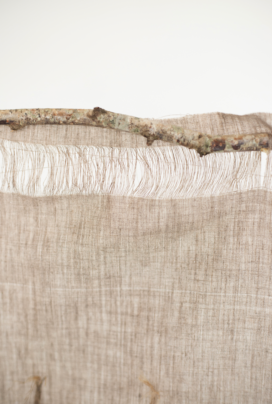 Frémissent les brins