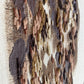 Bois Chantant II